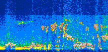 /calipso-imagery/data/BROWSE/production/V5-00/2006-06-28/2006-06-28_06-37-05_V5.00_2_thmb.png image missing