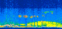 /calipso-imagery/data/BROWSE/production/V5-00/2006-06-28/2006-06-28_09-54-51_V5.00_2_thmb.png image missing