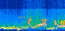 /calipso-imagery/data/BROWSE/production/V5-00/2006-06-28/2006-06-28_13-12-36_V5.00_3_thmb.png image missing