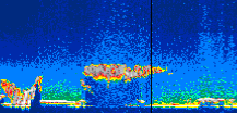 /calipso-imagery/data/BROWSE/production/V5-00/2006-06-28/2006-06-28_14-51-31_V5.00_1_thmb.png image missing