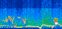 /calipso-imagery/data/BROWSE/production/V5-00/2006-06-28/2006-06-28_14-51-31_V5.00_3_thmb.png image missing
