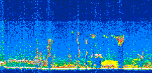 /calipso-imagery/data/BROWSE/production/V5-00/2006-06-28/2006-06-28_16-30-22_V5.00_2_thmb.png image missing
