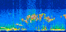 /calipso-imagery/data/BROWSE/production/V5-00/2006-06-30/2006-06-30_04-45-46_V5.00_2_thmb.png image missing