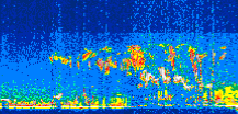 /calipso-imagery/data/BROWSE/production/V5-00/2006-06-30/2006-06-30_08-03-32_V5.00_2_thmb.png image missing