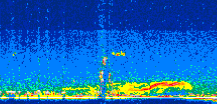 /calipso-imagery/data/BROWSE/production/V5-00/2006-06-30/2006-06-30_14-39-07_V5.00_2_thmb.png image missing