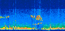 /calipso-imagery/data/BROWSE/production/V5-00/2006-07-30/2006-07-30_00-00-37_V5.00_2_thmb.png image missing