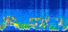 /calipso-imagery/data/BROWSE/production/V5-00/2006-07-30/2006-07-30_06-36-12_V5.00_3_thmb.png image missing
