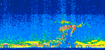/calipso-imagery/data/BROWSE/production/V5-00/2006-07-30/2006-07-30_14-50-33_V5.00_2_thmb.png image missing