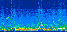 /calipso-imagery/data/BROWSE/production/V5-00/2006-07-30/2006-07-30_21-26-04_V5.00_2_thmb.png image missing