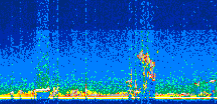/calipso-imagery/data/BROWSE/production/V5-00/2006-07-30/2006-07-30_23-04-59_V5.00_2_thmb.png image missing