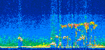 /calipso-imagery/data/BROWSE/production/V5-00/2006-08-28/2006-08-28_04-24-26_V5.00_2_thmb.png image missing