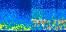 /calipso-imagery/data/BROWSE/production/V5-00/2006-08-28/2006-08-28_10-59-57_V5.00_3_thmb.png image missing