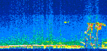 /calipso-imagery/data/BROWSE/production/V5-00/2006-08-28/2006-08-28_14-17-42_V5.00_2_thmb.png image missing