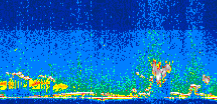 /calipso-imagery/data/BROWSE/production/V5-00/2006-08-28/2006-08-28_14-17-42_V5.00_3_thmb.png image missing