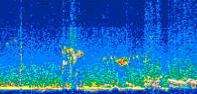 /calipso-imagery/data/BROWSE/production/V5-00/2006-09-02/2006-09-02_03-03-39_V5.00_3_thmb.png image missing