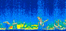 /calipso-imagery/data/BROWSE/production/V5-00/2006-09-04/2006-09-04_14-23-12_V5.00_3_thmb.png image missing