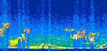 /calipso-imagery/data/BROWSE/production/V5-00/2006-09-04/2006-09-04_16-02-07_V5.00_3_thmb.png image missing