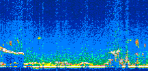 /calipso-imagery/data/BROWSE/production/V5-00/2006-09-04/2006-09-04_20-58-43_V5.00_2_thmb.png image missing