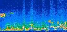 /calipso-imagery/data/BROWSE/production/V5-00/2006-09-05/2006-09-05_03-34-13_V5.00_3_thmb.png image missing