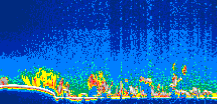 /calipso-imagery/data/BROWSE/production/V5-00/2006-09-05/2006-09-05_10-09-44_V5.00_1_thmb.png image missing