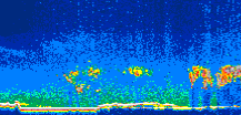 /calipso-imagery/data/BROWSE/production/V5-00/2006-09-05/2006-09-05_18-24-10_V5.00_1_thmb.png image missing