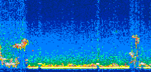 /calipso-imagery/data/BROWSE/production/V5-00/2006-09-05/2006-09-05_21-41-56_V5.00_2_thmb.png image missing