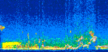 /calipso-imagery/data/BROWSE/production/V5-00/2006-09-10/2006-09-10_15-24-25_V5.00_3_thmb.png image missing