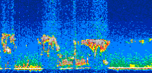 /calipso-imagery/data/BROWSE/production/V5-00/2006-09-10/2006-09-10_18-42-11_V5.00_3_thmb.png image missing