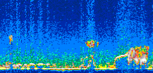 /calipso-imagery/data/BROWSE/production/V5-00/2006-09-10/2006-09-10_21-59-56_V5.00_3_thmb.png image missing