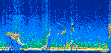 /calipso-imagery/data/BROWSE/production/V5-00/2006-09-17/2006-09-17_00-40-00_V5.00_2_thmb.png image missing