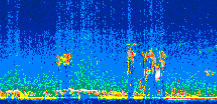 /calipso-imagery/data/BROWSE/production/V5-00/2006-09-17/2006-09-17_02-18-50_V5.00_2_thmb.png image missing