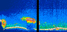 /calipso-imagery/data/BROWSE/production/V5-00/2006-09-17/2006-09-17_07-15-31_V5.00_1_thmb.png image missing