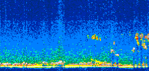 /calipso-imagery/data/BROWSE/production/V5-00/2006-09-17/2006-09-17_07-15-31_V5.00_2_thmb.png image missing