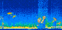 /calipso-imagery/data/BROWSE/production/V5-00/2006-09-17/2006-09-17_15-29-52_V5.00_3_thmb.png image missing