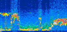 /calipso-imagery/data/BROWSE/production/V5-00/2006-09-20/2006-09-20_02-49-25_V5.00_3_thmb.png image missing