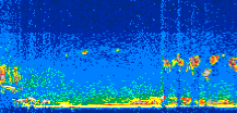 /calipso-imagery/data/BROWSE/production/V5-00/2006-09-20/2006-09-20_06-07-10_V5.00_2_thmb.png image missing