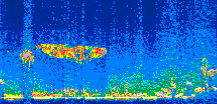 /calipso-imagery/data/BROWSE/production/V5-00/2006-09-20/2006-09-20_16-00-27_V5.00_3_thmb.png image missing