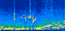/calipso-imagery/data/BROWSE/production/V5-00/2006-09-20/2006-09-20_17-39-17_V5.00_3_thmb.png image missing