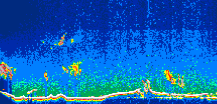 /calipso-imagery/data/BROWSE/production/V5-00/2006-09-20/2006-09-20_20-57-02_V5.00_1_thmb.png image missing