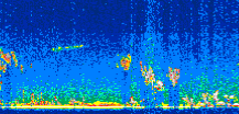 /calipso-imagery/data/BROWSE/production/V5-00/2006-09-22/2006-09-22_02-36-51_V5.00_3_thmb.png image missing