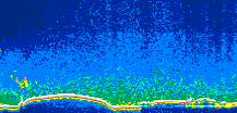 /calipso-imagery/data/BROWSE/production/V5-00/2006-09-22/2006-09-22_07-33-27_V5.00_1_thmb.png image missing