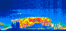/calipso-imagery/data/BROWSE/production/V5-00/2006-09-28/2006-09-28_00-20-14_V5.00_1_thmb.png image missing