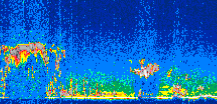 /calipso-imagery/data/BROWSE/production/V5-00/2006-09-28/2006-09-28_03-37-55_V5.00_3_thmb.png image missing