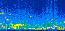 /calipso-imagery/data/BROWSE/production/V5-00/2006-09-28/2006-09-28_13-31-11_V5.00_3_thmb.png image missing
