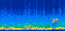 /calipso-imagery/data/BROWSE/production/V5-00/2006-09-28/2006-09-28_15-10-06_V5.00_3_thmb.png image missing