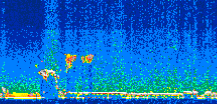 /calipso-imagery/data/BROWSE/production/V5-00/2006-09-28/2006-09-28_20-06-42_V5.00_2_thmb.png image missing