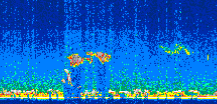 /calipso-imagery/data/BROWSE/production/V5-00/2006-09-28/2006-09-28_21-45-37_V5.00_2_thmb.png image missing