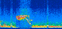 /calipso-imagery/data/BROWSE/production/V5-00/2006-09-28/2006-09-28_23-24-27_V5.00_2_thmb.png image missing
