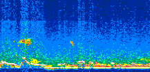 /calipso-imagery/data/BROWSE/production/V5-00/2006-09-30/2006-09-30_10-00-52_V5.00_2_thmb.png image missing