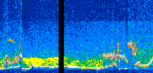 /calipso-imagery/data/BROWSE/production/V5-00/2006-09-30/2006-09-30_10-00-52_V5.00_3_thmb.png image missing